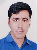 هادی زارع محمودآبادی